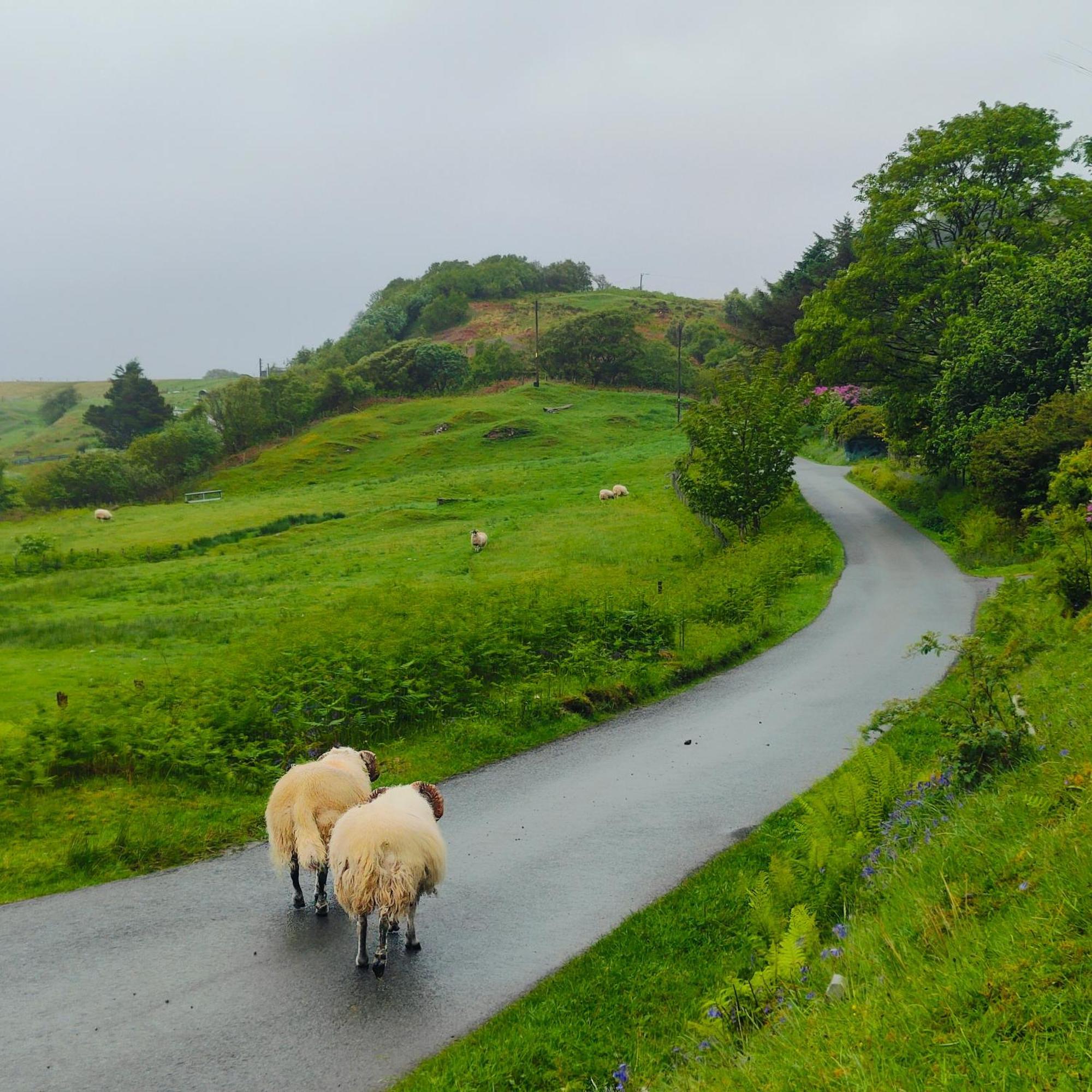 Kintyre Caravan Portree Ngoại thất bức ảnh
